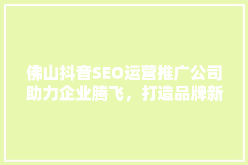 佛山抖音SEO运营推广公司助力企业腾飞，打造品牌新高度