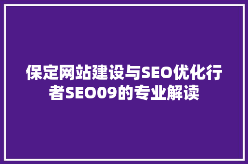 保定网站建设与SEO优化行者SEO09的专业解读