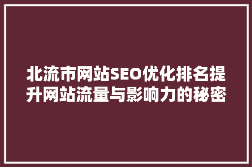 北流市网站SEO优化排名提升网站流量与影响力的秘密武器