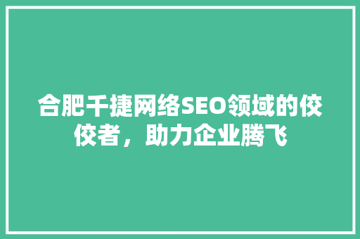 合肥千捷网络SEO领域的佼佼者，助力企业腾飞