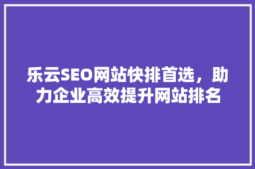 乐云SEO网站快排首选，助力企业高效提升网站排名