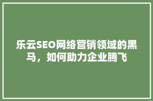 乐云SEO网络营销领域的黑马，如何助力企业腾飞
