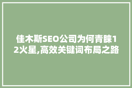 佳木斯SEO公司为何青睐12火星,高效关键词布局之路