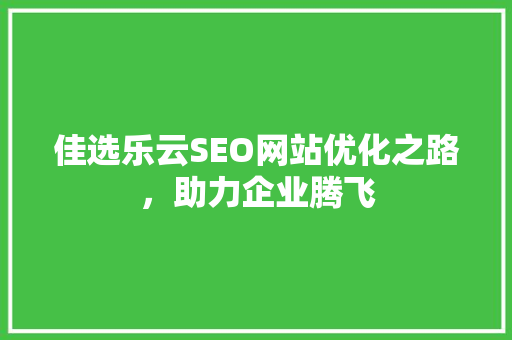 佳选乐云SEO网站优化之路，助力企业腾飞
