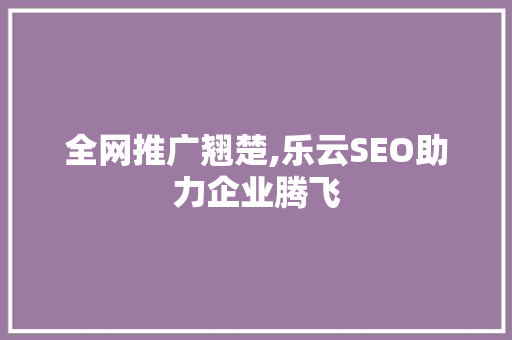 全网推广翘楚,乐云SEO助力企业腾飞