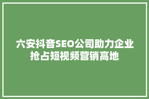 六安抖音SEO公司助力企业抢占短视频营销高地