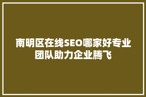 南明区在线SEO哪家好专业团队助力企业腾飞