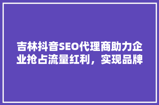 吉林抖音SEO代理商助力企业抢占流量红利，实现品牌崛起