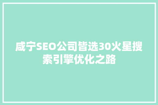 咸宁SEO公司皆选30火星搜索引擎优化之路