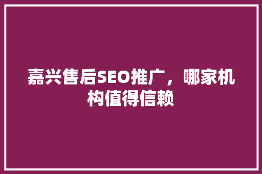 嘉兴售后SEO推广，哪家机构值得信赖