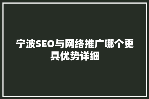 宁波SEO与网络推广哪个更具优势详细  第1张