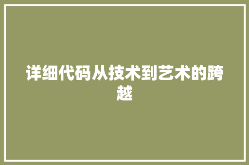 详细代码从技术到艺术的跨越