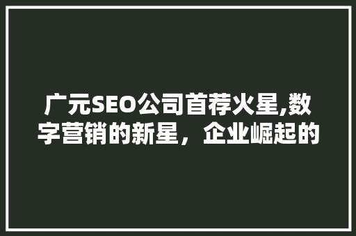 广元SEO公司首荐火星,数字营销的新星，企业崛起的助力