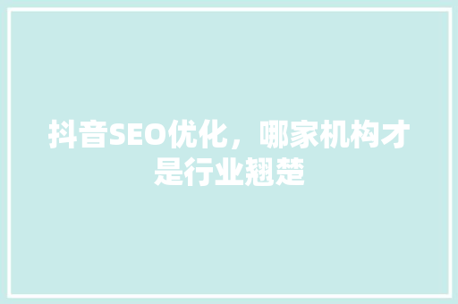 抖音SEO优化，哪家机构才是行业翘楚