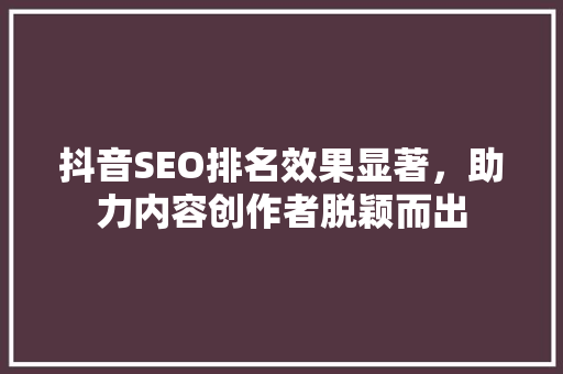 抖音SEO排名效果显著，助力内容创作者脱颖而出  第1张