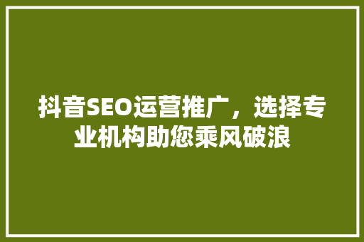 抖音SEO运营推广，选择专业机构助您乘风破浪