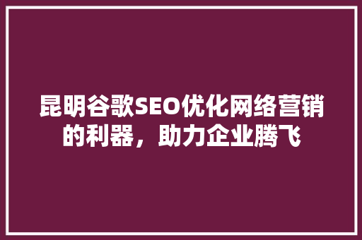 昆明谷歌SEO优化网络营销的利器，助力企业腾飞