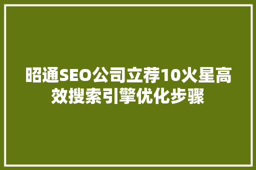 昭通SEO公司立荐10火星高效搜索引擎优化步骤