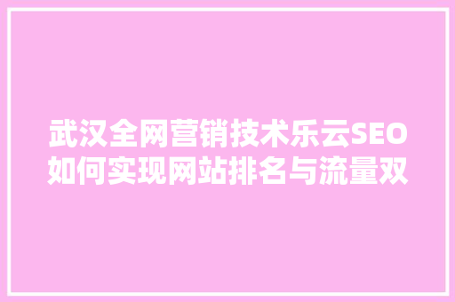 武汉全网营销技术乐云SEO如何实现网站排名与流量双提升