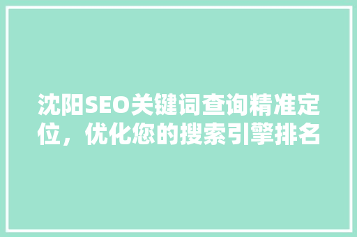 沈阳SEO关键词查询精准定位，优化您的搜索引擎排名  第1张