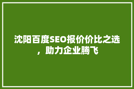 沈阳百度SEO报价价比之选，助力企业腾飞