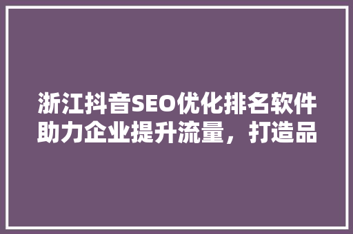 浙江抖音SEO优化排名软件助力企业提升流量，打造品牌影响力