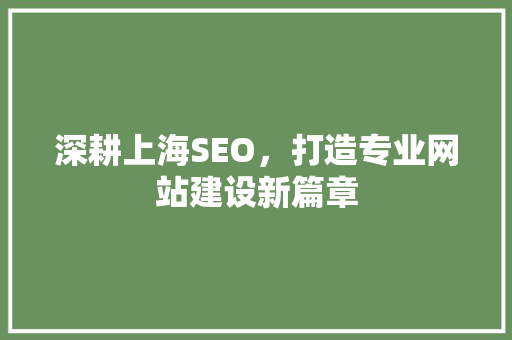 深耕上海SEO，打造专业网站建设新篇章