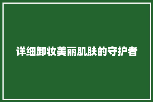 详细卸妆美丽肌肤的守护者