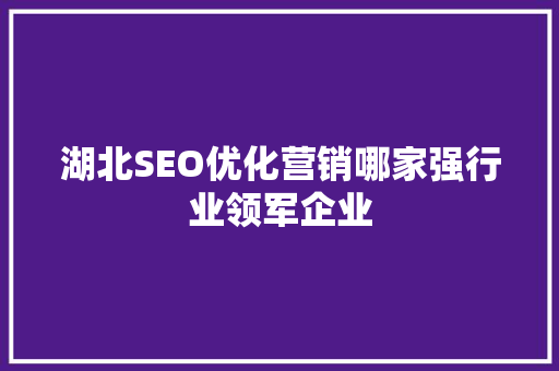 湖北SEO优化营销哪家强行业领军企业