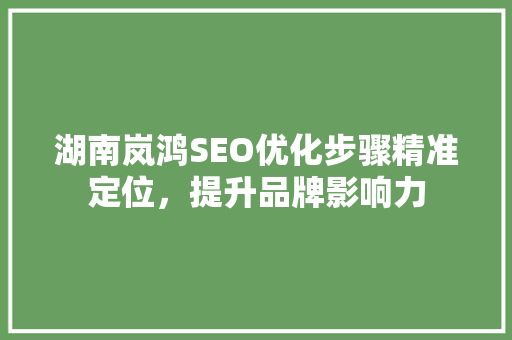 湖南岚鸿SEO优化步骤精准定位，提升品牌影响力