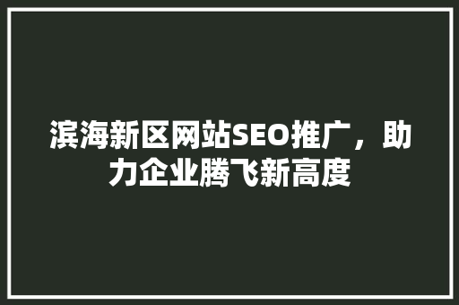 滨海新区网站SEO推广，助力企业腾飞新高度  第1张