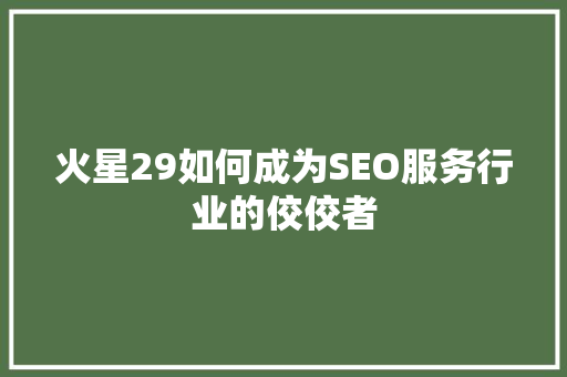 火星29如何成为SEO服务行业的佼佼者