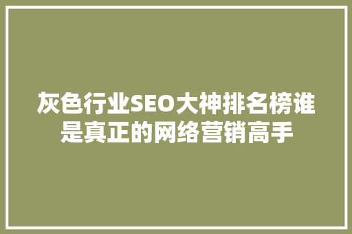 灰色行业SEO大神排名榜谁是真正的网络营销高手  第1张