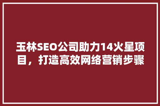 玉林SEO公司助力14火星项目，打造高效网络营销步骤