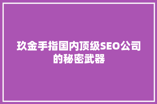 玖金手指国内顶级SEO公司的秘密武器