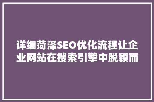 详细菏泽SEO优化流程让企业网站在搜索引擎中脱颖而出