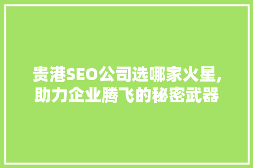 贵港SEO公司选哪家火星,助力企业腾飞的秘密武器