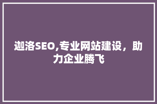 迦洛SEO,专业网站建设，助力企业腾飞