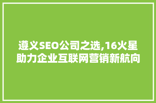 遵义SEO公司之选,16火星助力企业互联网营销新航向
