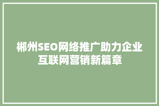 郴州SEO网络推广助力企业互联网营销新篇章