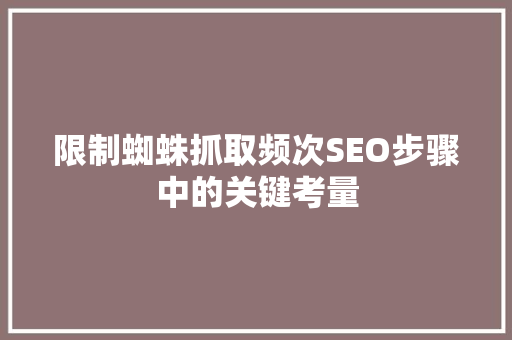 限制蜘蛛抓取频次SEO步骤中的关键考量