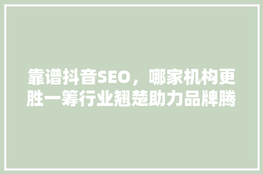靠谱抖音SEO，哪家机构更胜一筹行业翘楚助力品牌腾飞之路