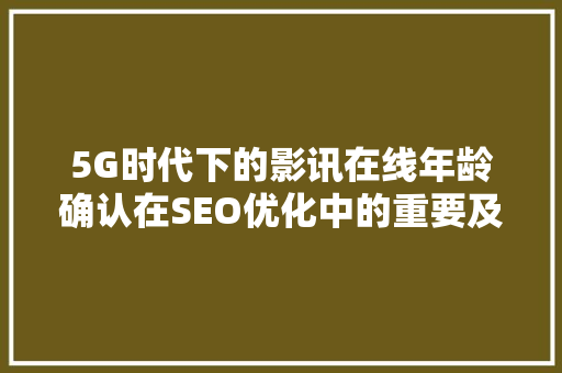 5G时代下的影讯在线年龄确认在SEO优化中的重要及方法指南