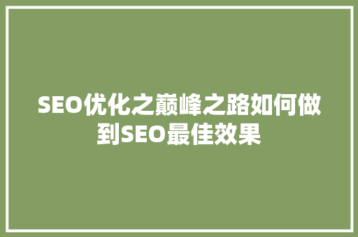 SEO优化之巅峰之路如何做到SEO最佳效果