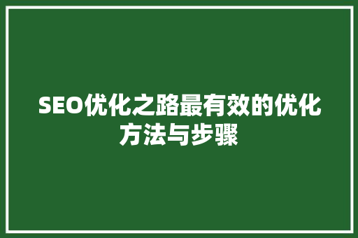 SEO优化之路最有效的优化方法与步骤