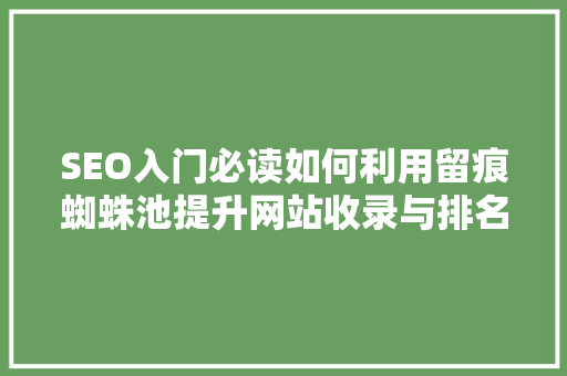 SEO入门必读如何利用留痕蜘蛛池提升网站收录与排名