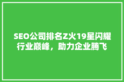 SEO公司排名Z火19星闪耀行业巅峰，助力企业腾飞