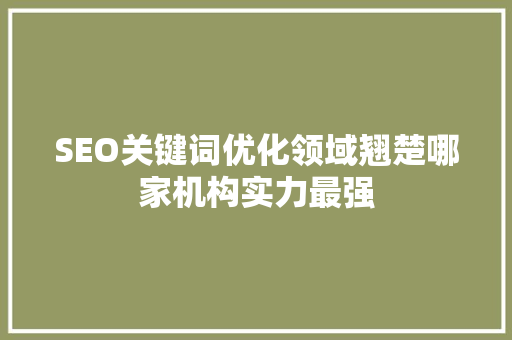 SEO关键词优化领域翘楚哪家机构实力最强