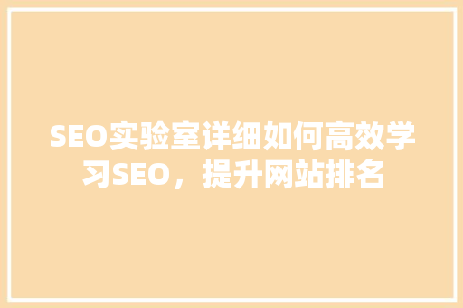SEO实验室详细如何高效学习SEO，提升网站排名