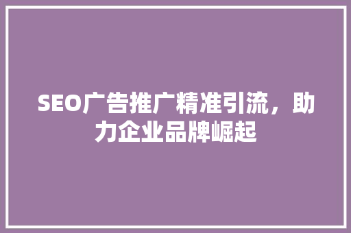 SEO广告推广精准引流，助力企业品牌崛起